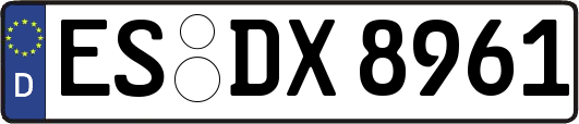 ES-DX8961