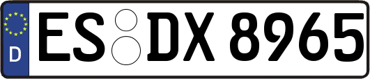 ES-DX8965