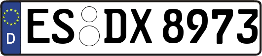 ES-DX8973
