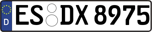 ES-DX8975