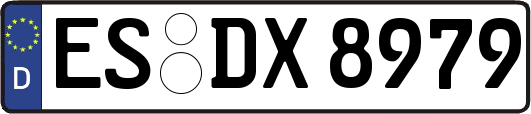 ES-DX8979
