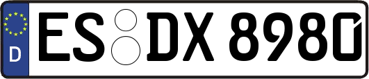 ES-DX8980