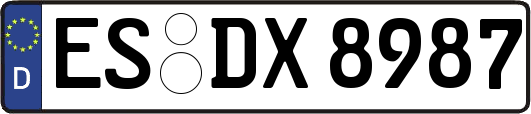 ES-DX8987