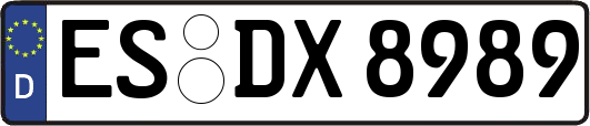 ES-DX8989