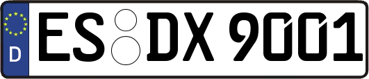 ES-DX9001