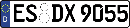 ES-DX9055