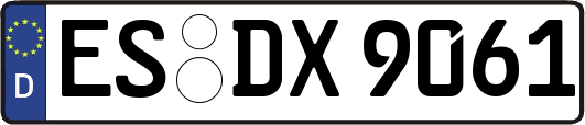 ES-DX9061