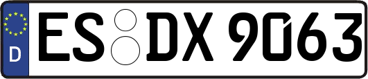 ES-DX9063