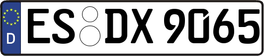 ES-DX9065