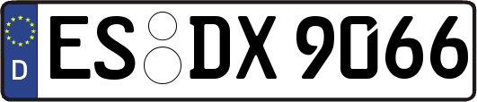 ES-DX9066