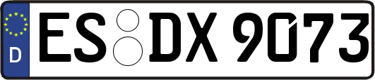 ES-DX9073