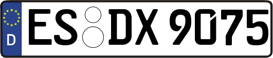ES-DX9075