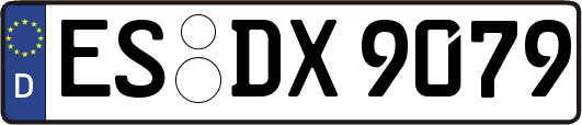 ES-DX9079