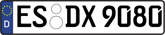 ES-DX9080