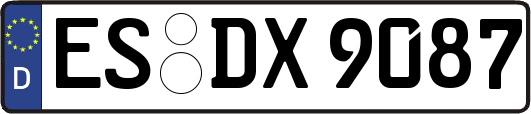 ES-DX9087