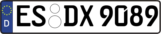 ES-DX9089