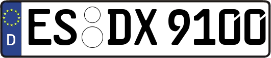 ES-DX9100