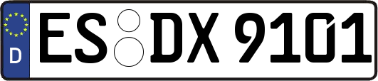 ES-DX9101