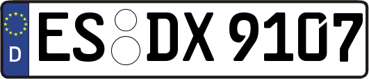 ES-DX9107