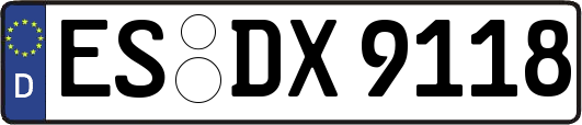 ES-DX9118