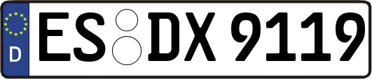 ES-DX9119
