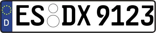 ES-DX9123
