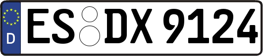 ES-DX9124