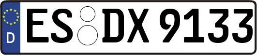ES-DX9133