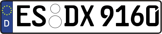 ES-DX9160