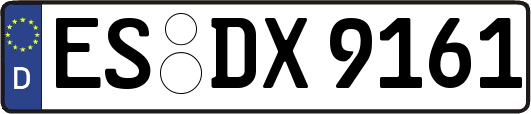 ES-DX9161