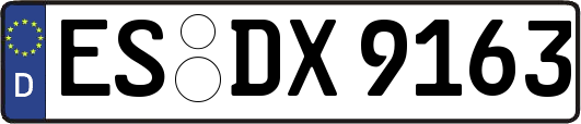 ES-DX9163