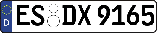 ES-DX9165