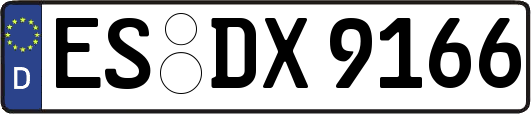 ES-DX9166
