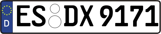 ES-DX9171