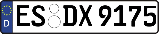 ES-DX9175