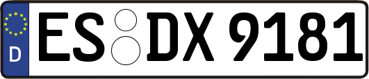 ES-DX9181