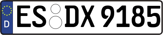 ES-DX9185