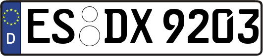 ES-DX9203