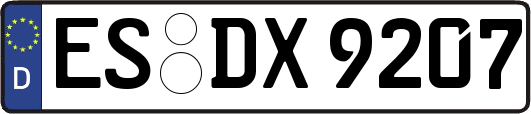 ES-DX9207