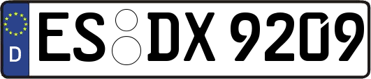 ES-DX9209