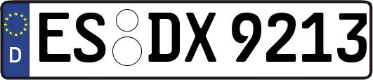 ES-DX9213