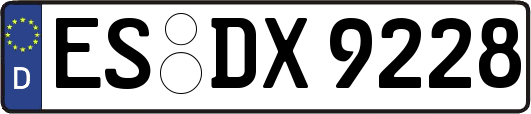 ES-DX9228