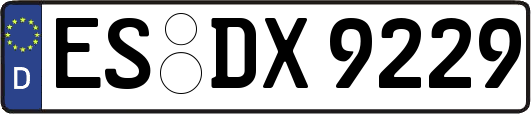 ES-DX9229