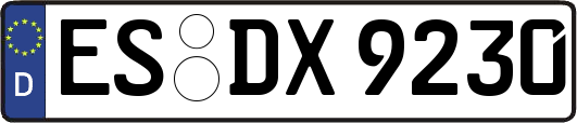 ES-DX9230
