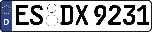 ES-DX9231