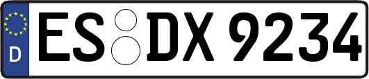 ES-DX9234