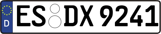 ES-DX9241