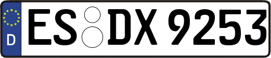 ES-DX9253