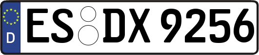 ES-DX9256