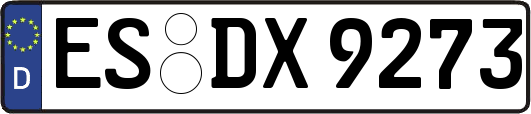 ES-DX9273